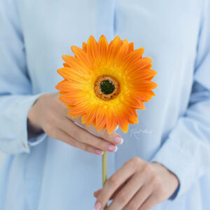 REAL TOUCH Гербера (Оранженый)