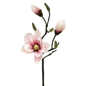 REAL TOUCH Магнолия (Фиолетовый)