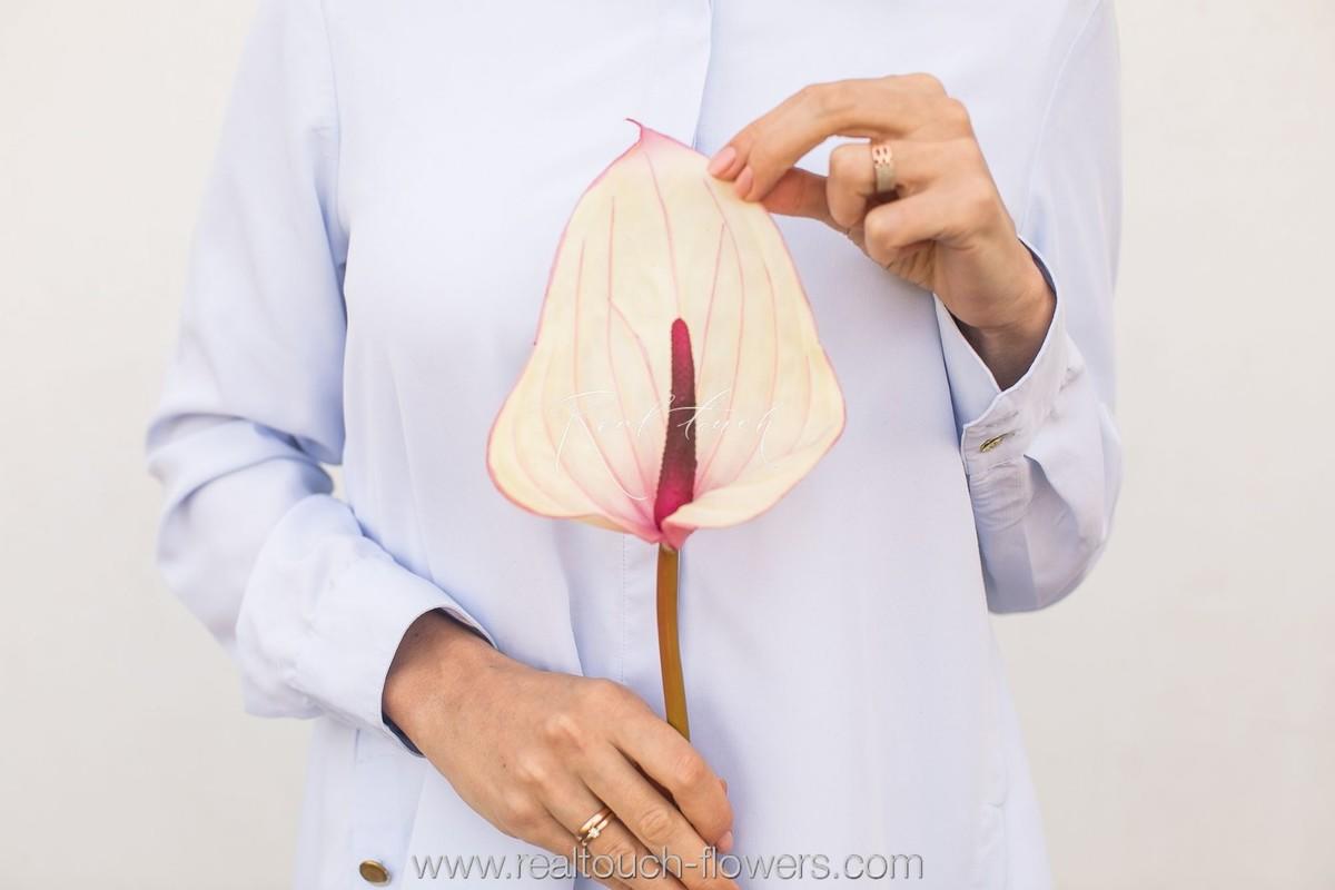 REAL TOUCH Антуриум большой (Бело-розовый)