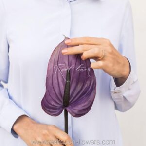 REAL TOUCH Антуриум большой (Фиолетовый)