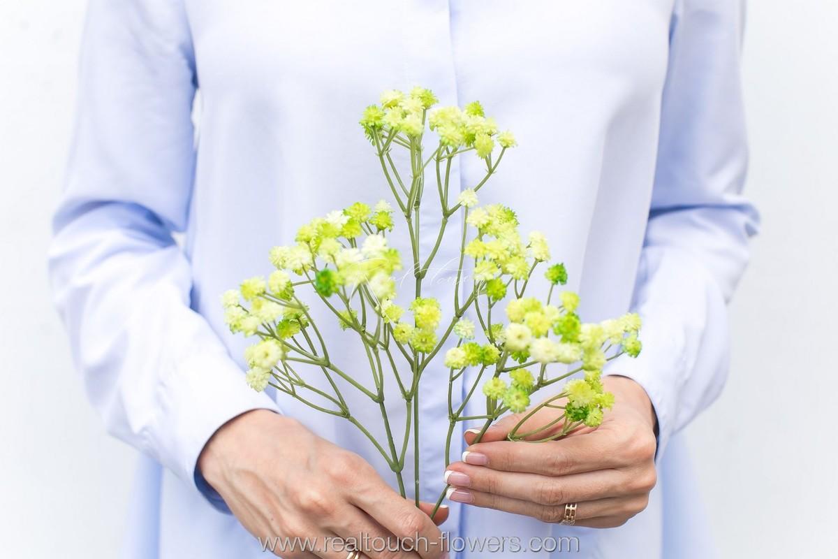 REAL TOUCH Гипсофила (Зеленый)