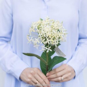 REAL TOUCH Аллиум (Белый)