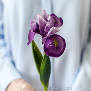 REAL TOUCH Ирис (Фиолетовый)
