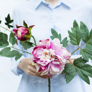 REAL TOUCH Пион пестрый (Фиолетовый)