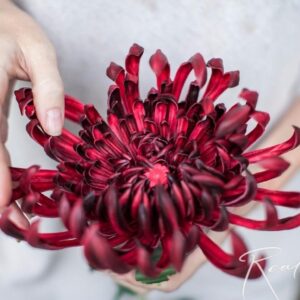 REAL TOUCH Хризантема большая (Малиновое вино)
