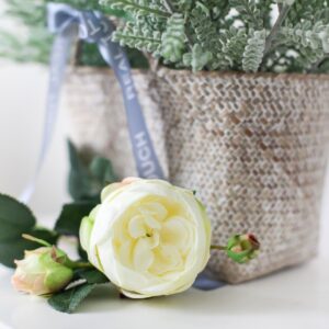 REAL TOUCH Роза Дэвида Остина (Белый)