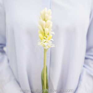 REAL TOUCH Гиацинт закрытый (Белый)