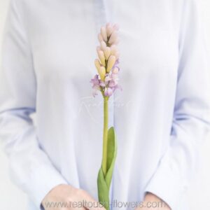 REAL TOUCH Гиацинт закрытый (Светло-фиолетовый)