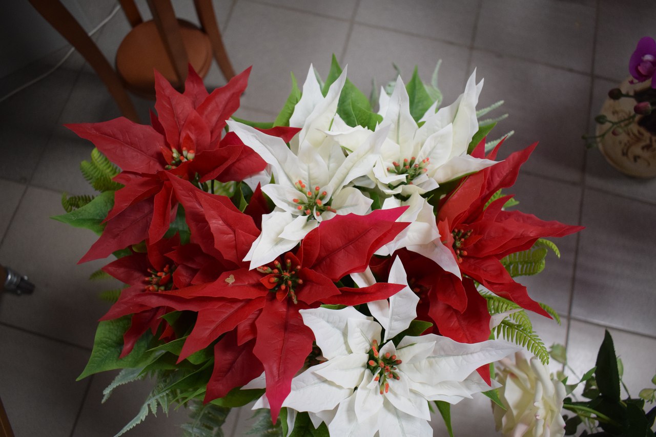 REAL TOUCH Пуансетия (Красный)