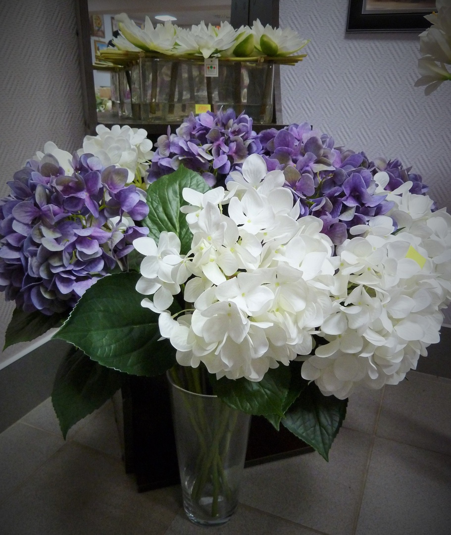 TREEZ Collection Гортензия "Grande Fiore" (Сиреневый)