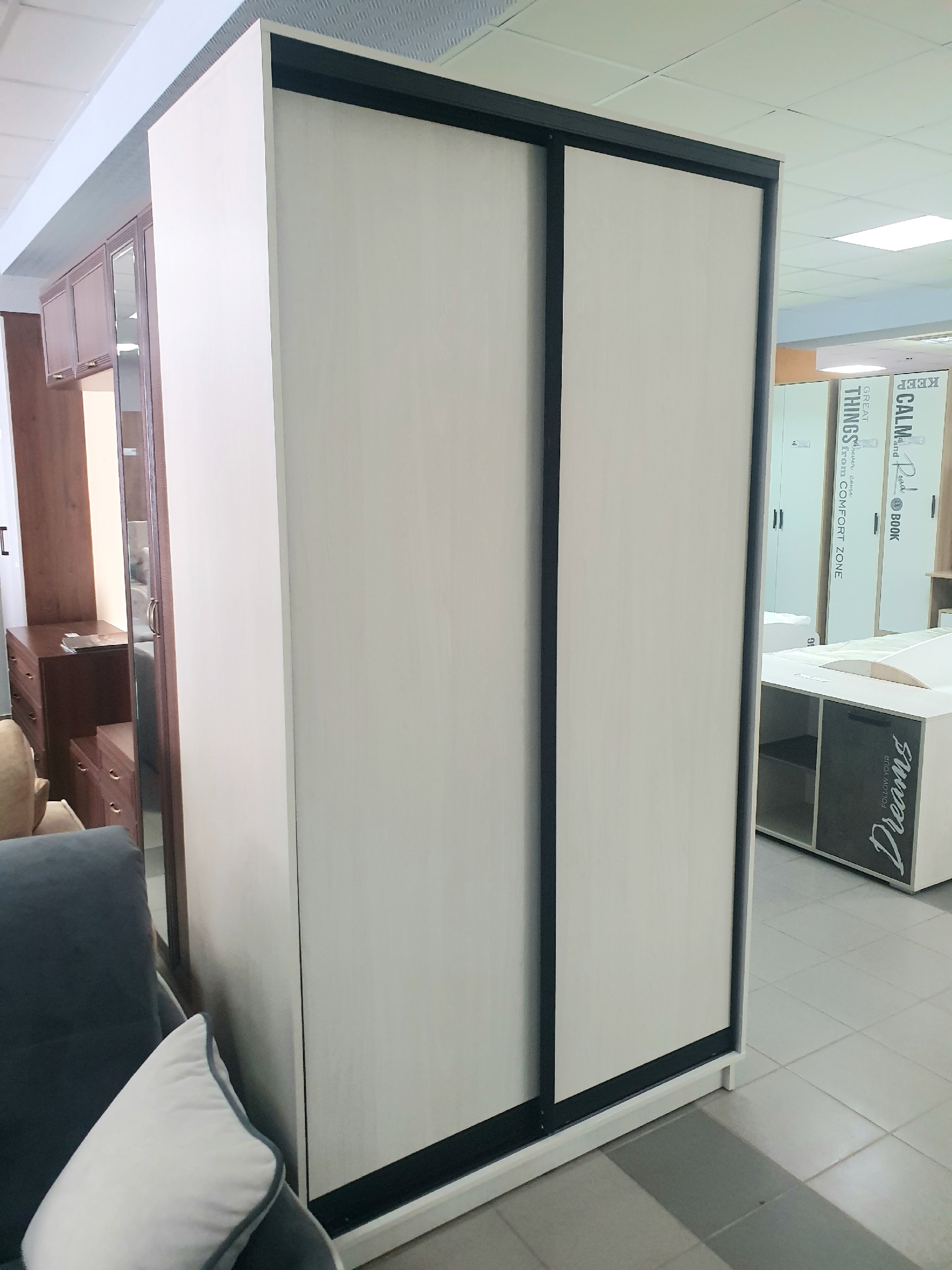 Шкаф-купе 2дв. Экспресс-2 1200*600*2200 (Ясень анкор светлый/Черный матовый)