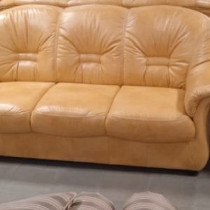 Набор мебели Омега 3М+12+12 (120 группа, кожа)