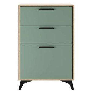 Тумба 600 1С2Я Ева (Дуб экспресив песочный/ Муссон)